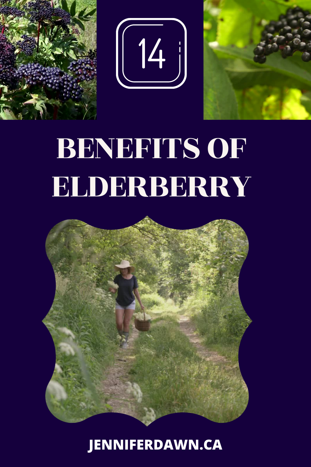 14 Health Benefits Of Using Elderberry Extract As A Natural Remedy