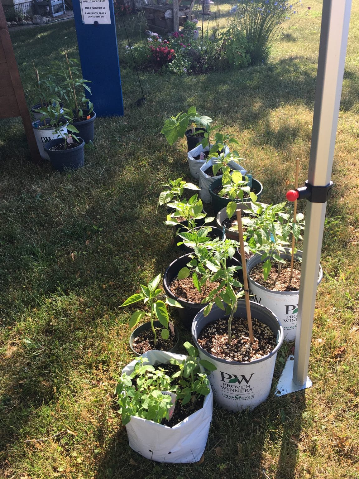 How To Make Money Selling Plants From Home DIY Market Stand