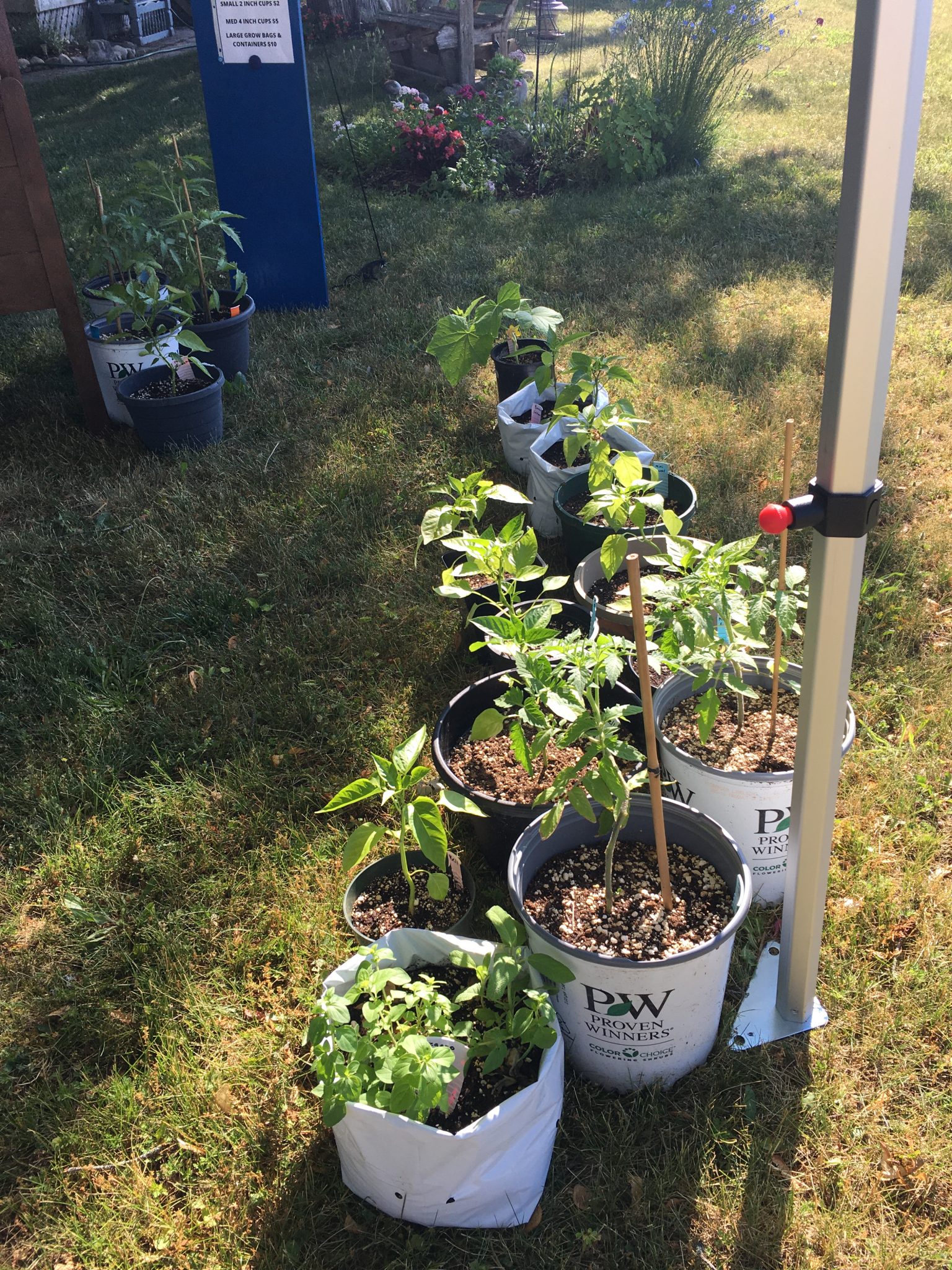 How To Make Money Selling Plants From Home DIY Market Stand