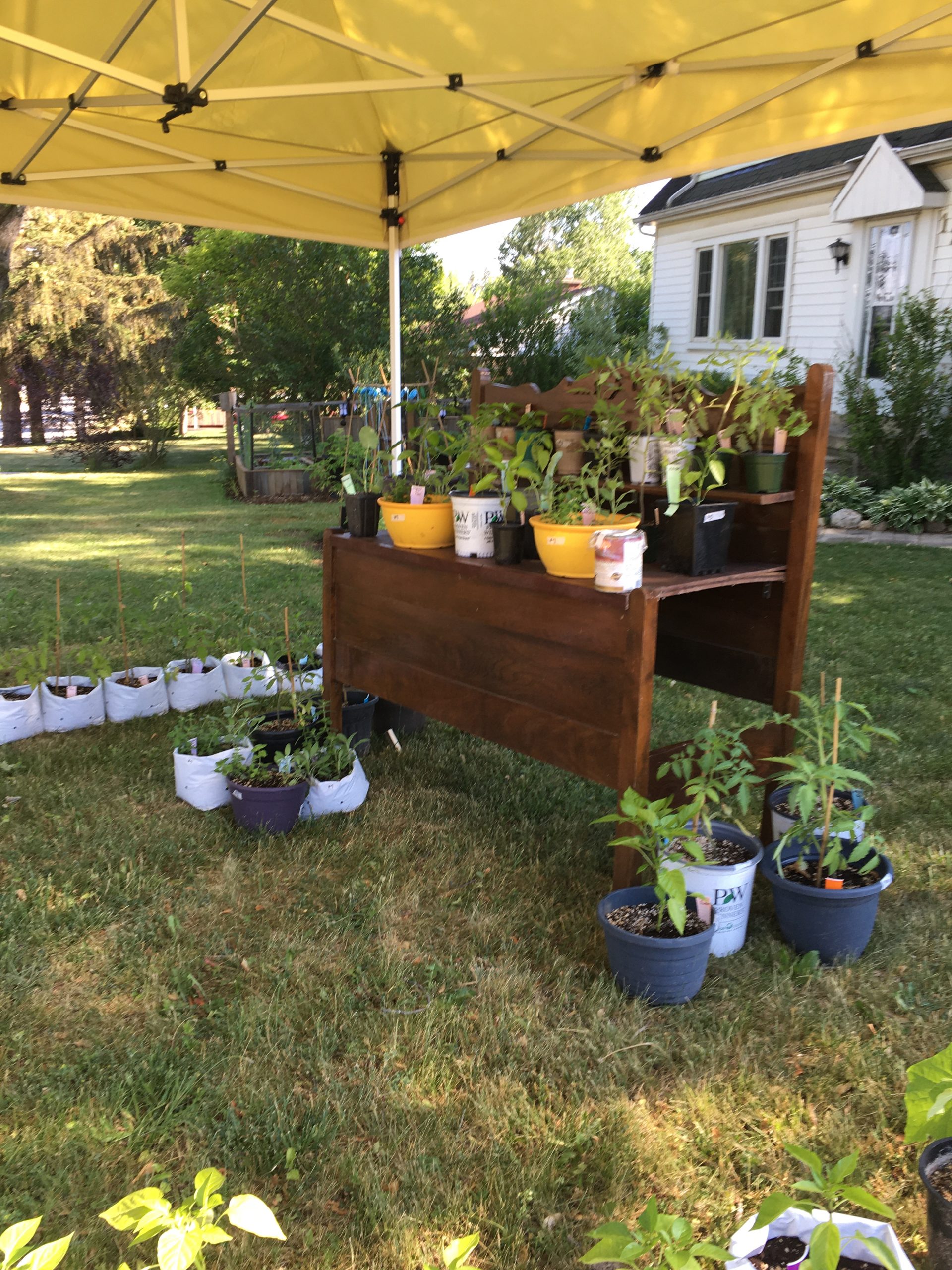 How To Make Money Selling Plants From Home DIY Market Stand