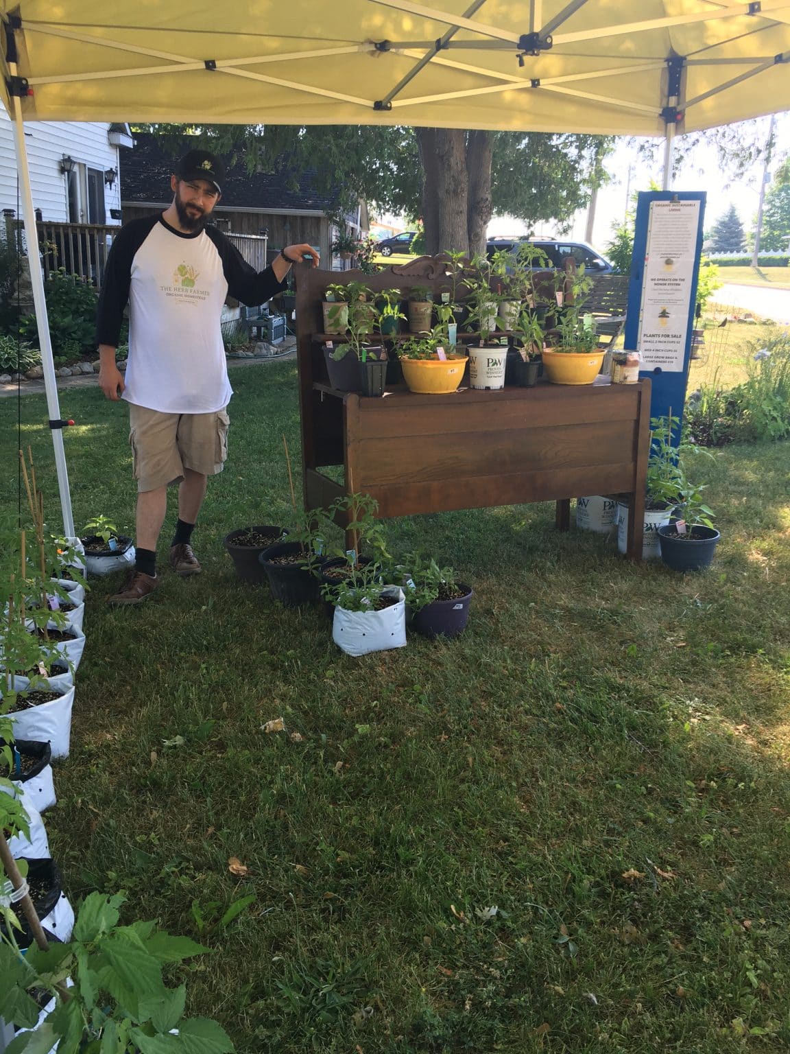 How To Make Money Selling Plants From Home DIY Market Stand