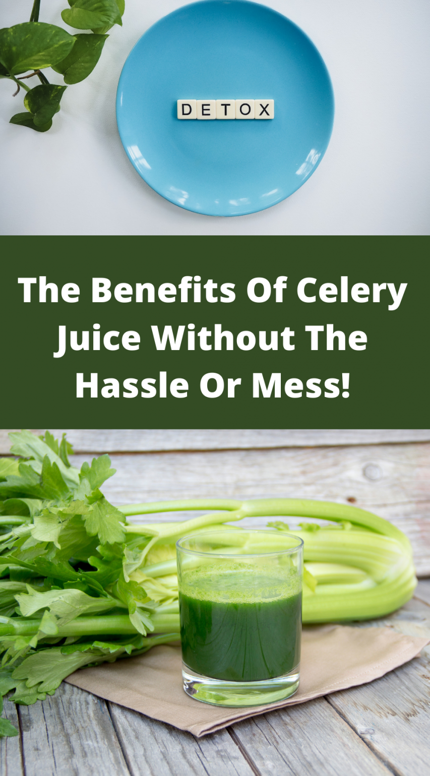 Celery Juice Benefits & How To Make Celery Juice Without A Juicer