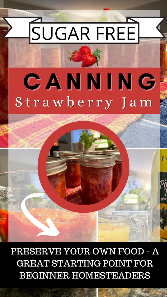 How To Can Your Own Sugar Free Jam - Urban Homesteading