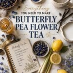 Flat lay of butterfly pea flower tea ingredients arranged on a white countertop.