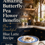 Butterfly pea flower tea with botanical books and dried flowers arranged for an educational infographic.