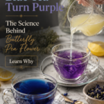 Two glass teacups of butterfly pea flower tea showing the dramatic color change from blue to purple as fresh lemon juice is poured into the tea.