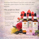 Australian Bush Flower Essence bottles surrounded by native flowers and natural elements.