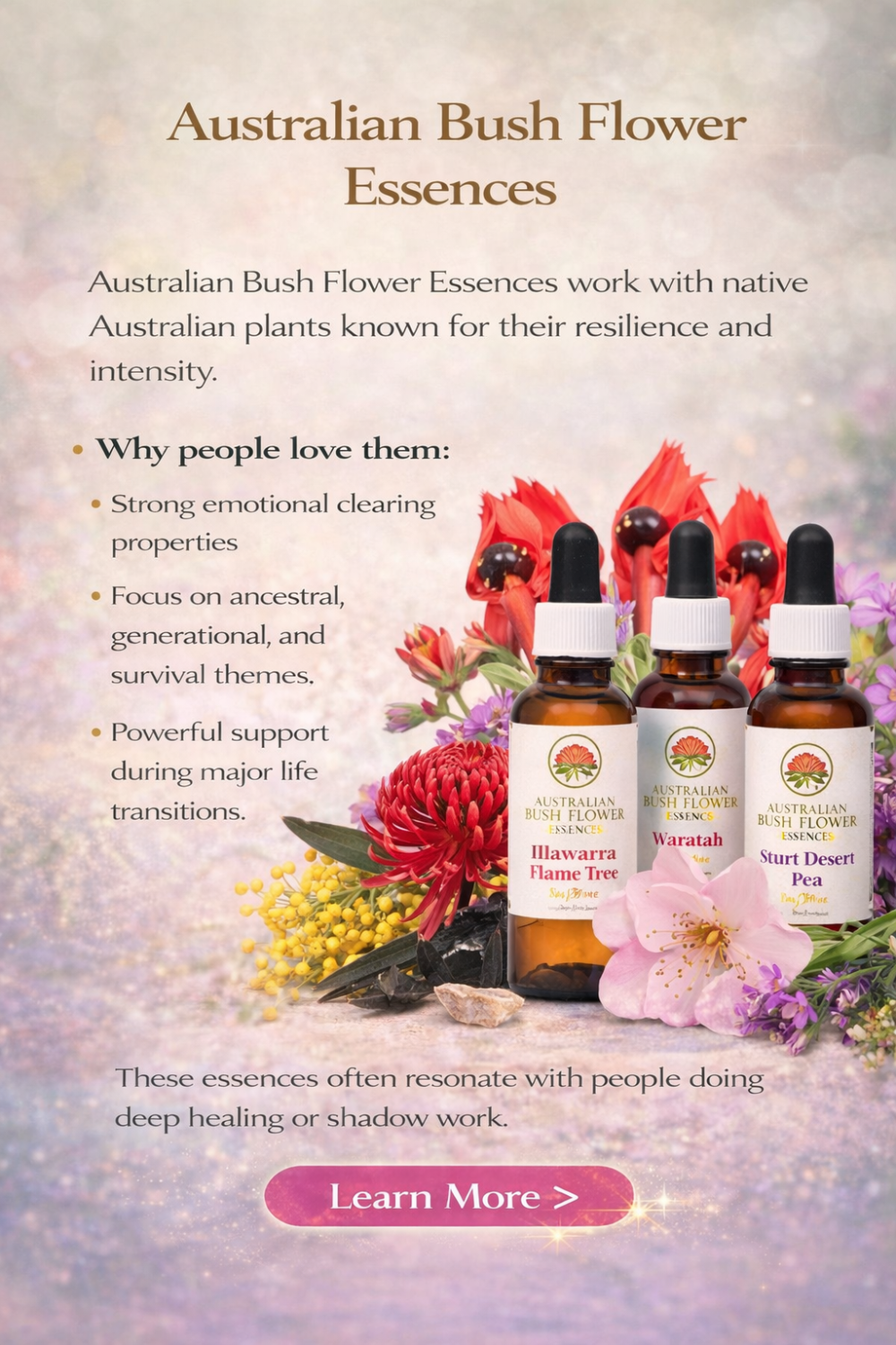 Australian Bush Flower Essence bottles surrounded by native flowers and natural elements.