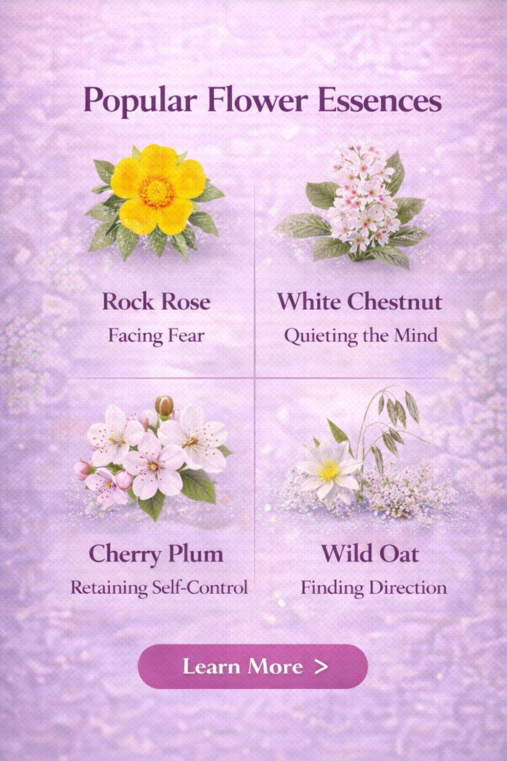 Close-up of individual flower essence bottles labeled with different flower remedies.