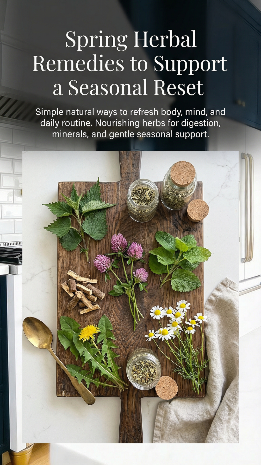 Pinterest pin with text overlay about spring herbal remedies, featuring a wooden board with fresh nettle, red clover, dandelion, chamomile, dried herbs, and a gold spoon on a white countertop.