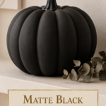 One oversized matte black sculptural air dry clay pumpkin displayed alone on a cream floating shelf with a sprig of dried eucalyptus