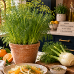 Tall fennel plant with feathery green fronds in a terracotta pot on a white quartz countertop, dark navy cabinetry blurred behind, fresh fennel bulb with fronds attached on a wooden cutting board beside a small dish of fennel seeds and a citrus salad with orange slices and fennel shavings, brushed gold chef's knife nearby, warm natural light.