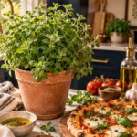 Thriving oregano plant with small round green leaves in a terracotta pot on a white quartz countertop, dark navy cabinetry softly blurred behind, wooden pizza board holding a freshly baked margherita pizza topped with torn oregano, brushed gold pizza cutter and a small bowl of olive oil nearby, warm golden lighting.