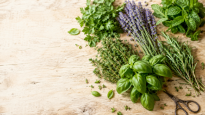 culinary herbs to grow at home